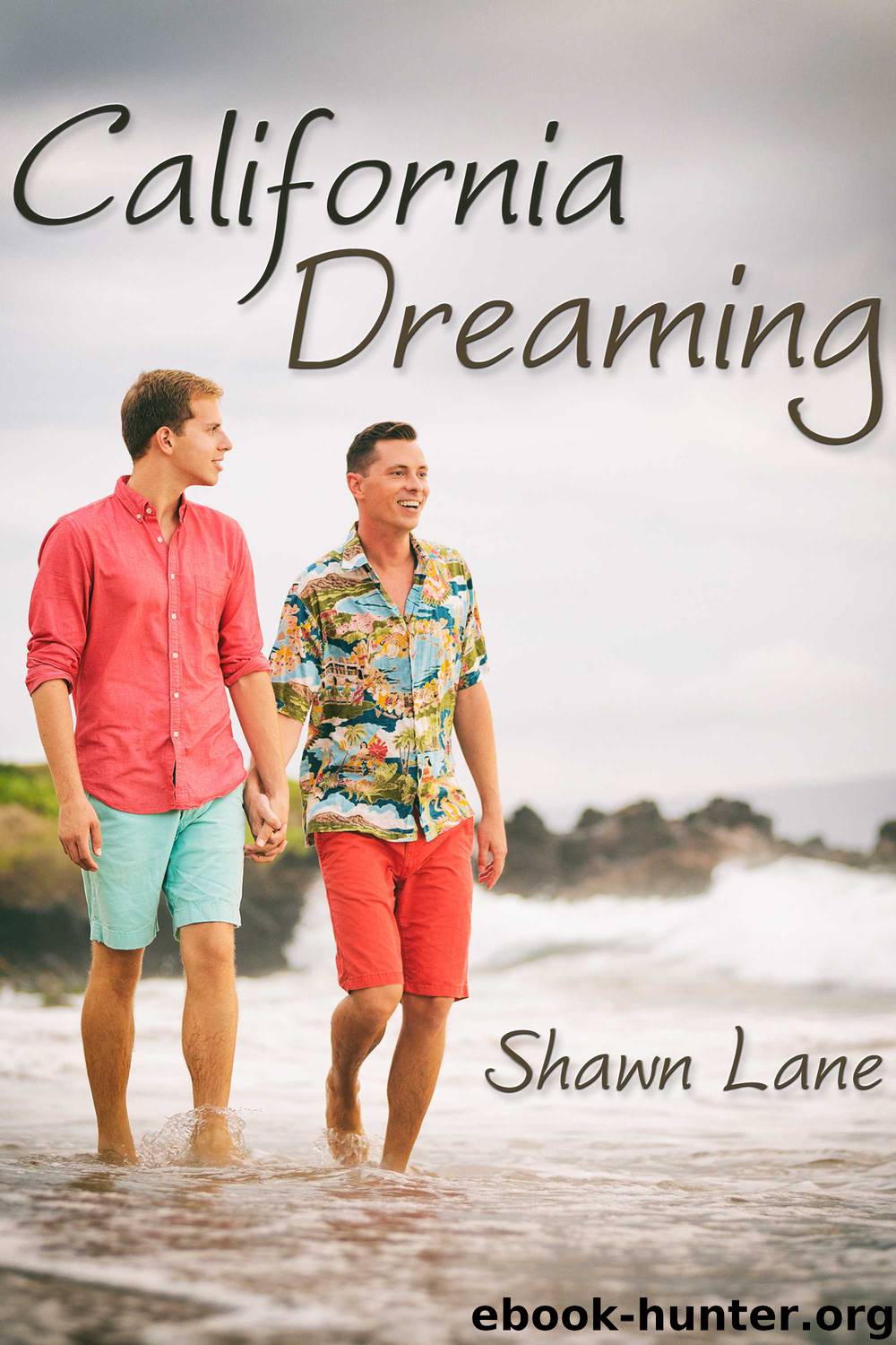 California Dreaming by Shawn Lane