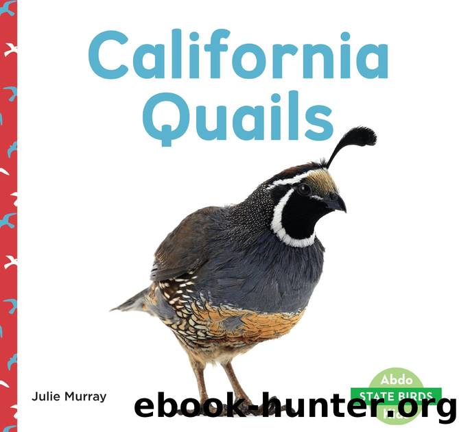 California Quails by Julie Murray