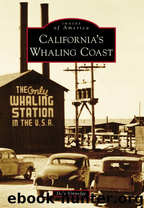 California's Whaling Coast by Dale Vinnedge