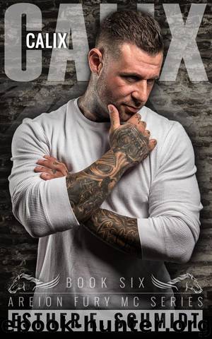 Calix (Areion Fury MC, #6) by Esther E. Schmidt