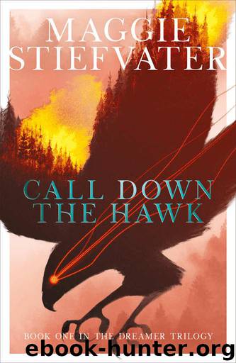 Call Down the Hawk: The Dreamer Trilogy by Stiefvater Maggie
