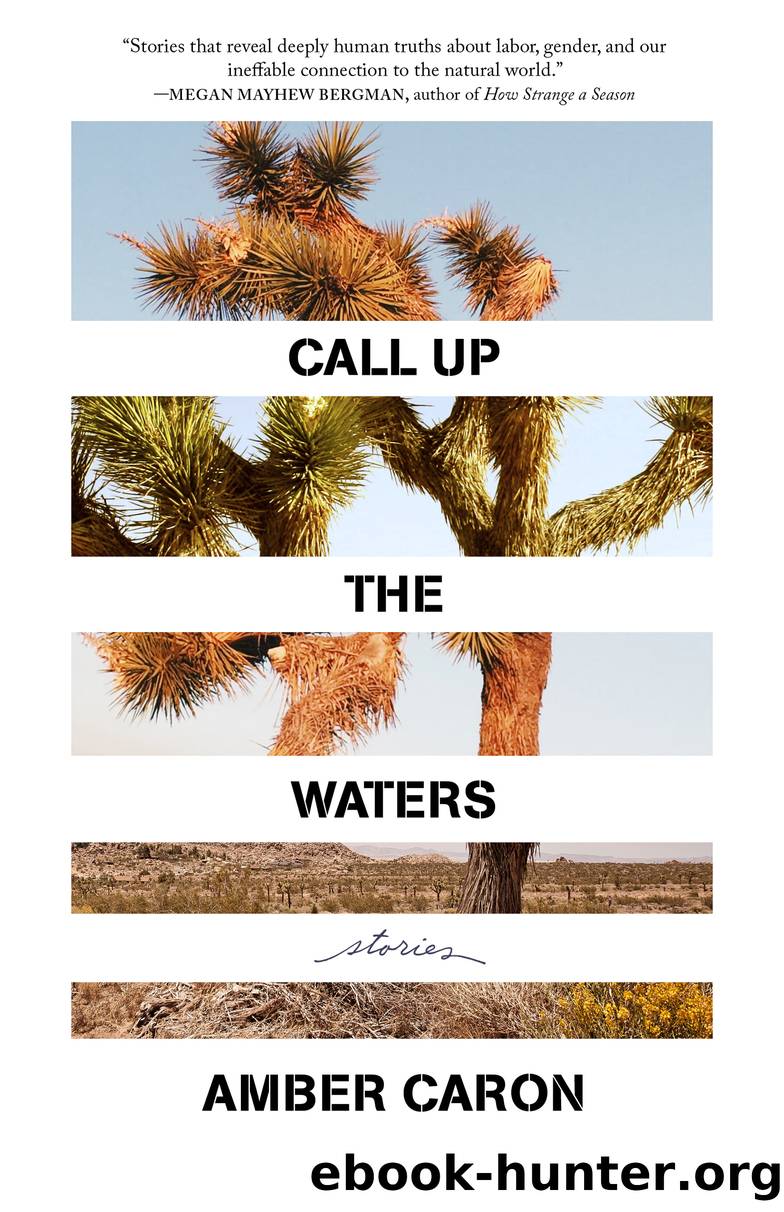 Call Up the Waters by Amber Caron