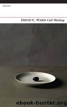 Call Waiting by David C. Ward