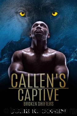Callen's Captive by Julie K. Cohen