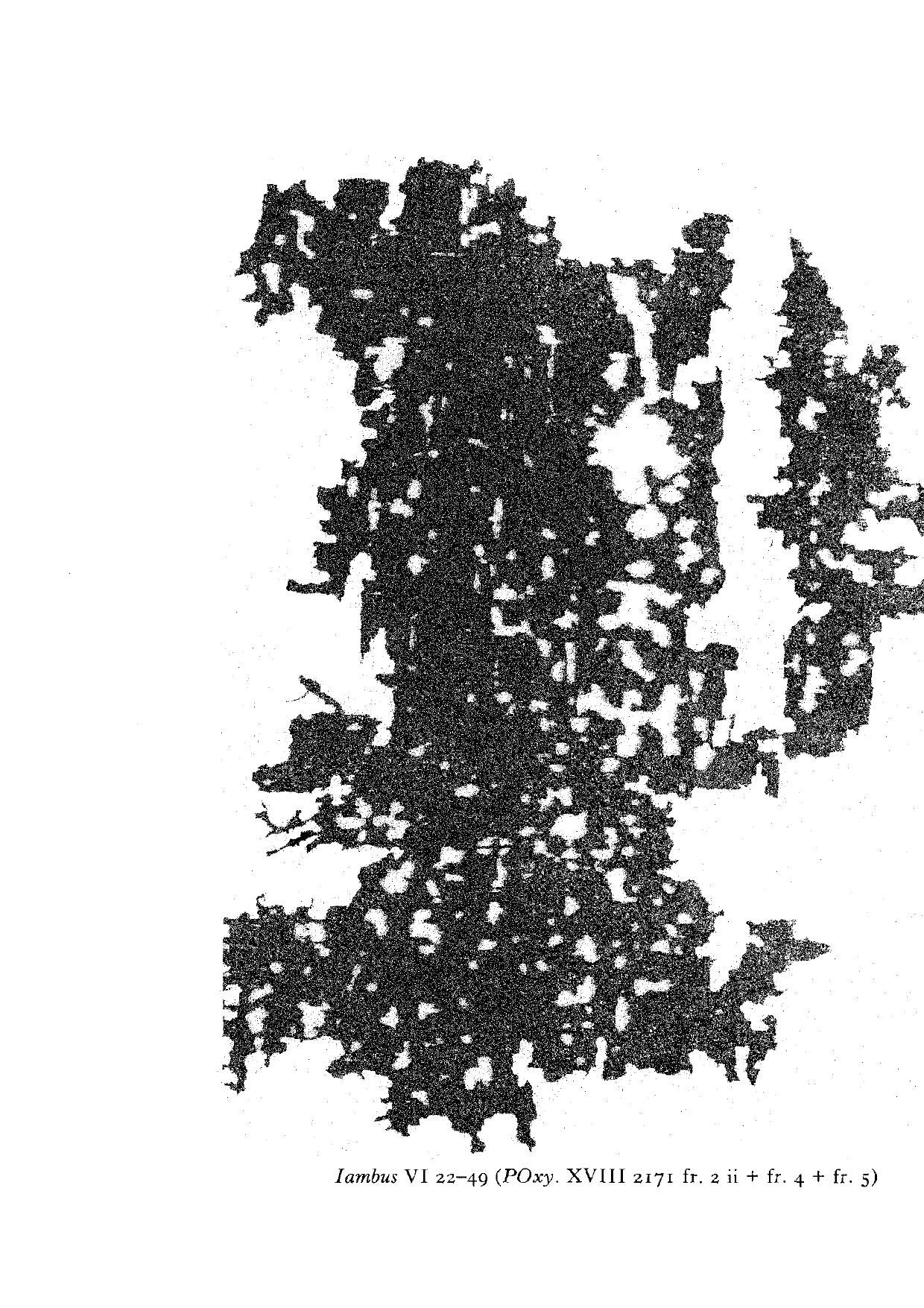 Callimachus' Book of Iambi by Arnd Kerkhecker; Callimachus