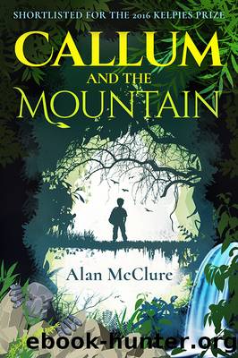 Callum and the Mountain by Alan McClure