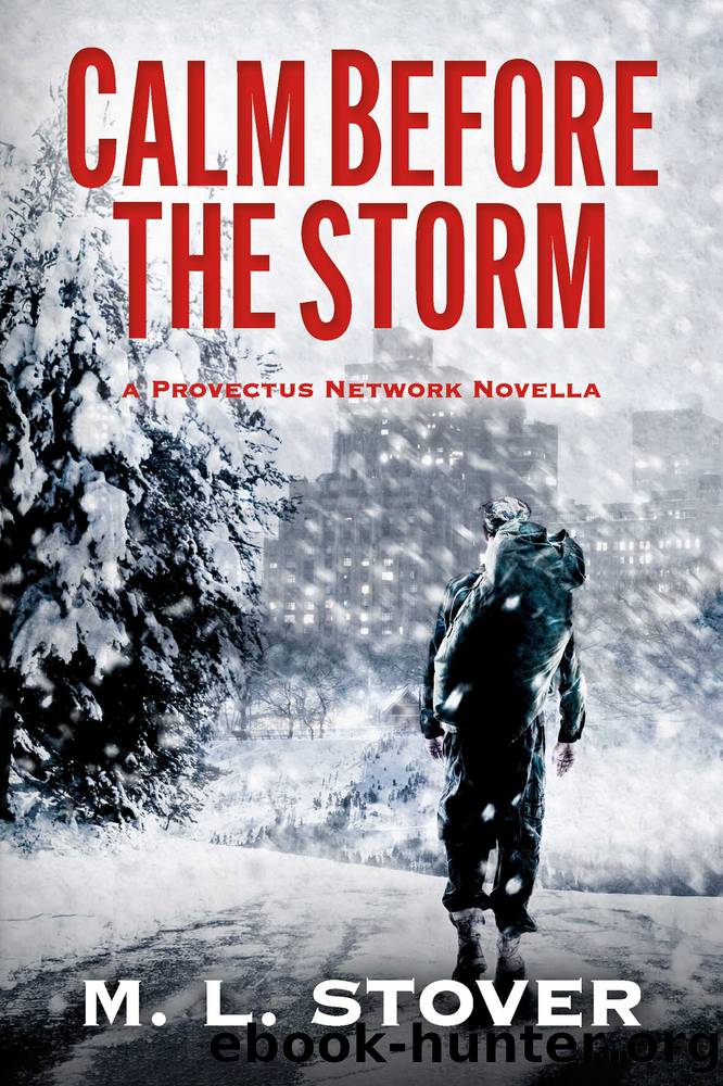 Calm Before the Storm by M. L. Stover