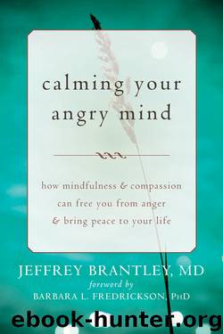 Calming Your Angry Mind by Jeffrey Brantley