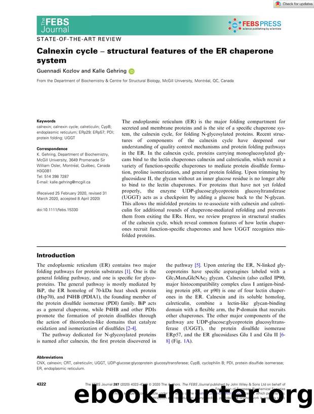 Calnexin cycle â structural features of the ER chaperone system by Unknown