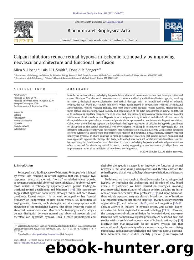Calpain inhibitors reduce retinal hypoxia in ischemic retinopathy by improving neovascular architecture and functional perfusion by Mien V. Hoang