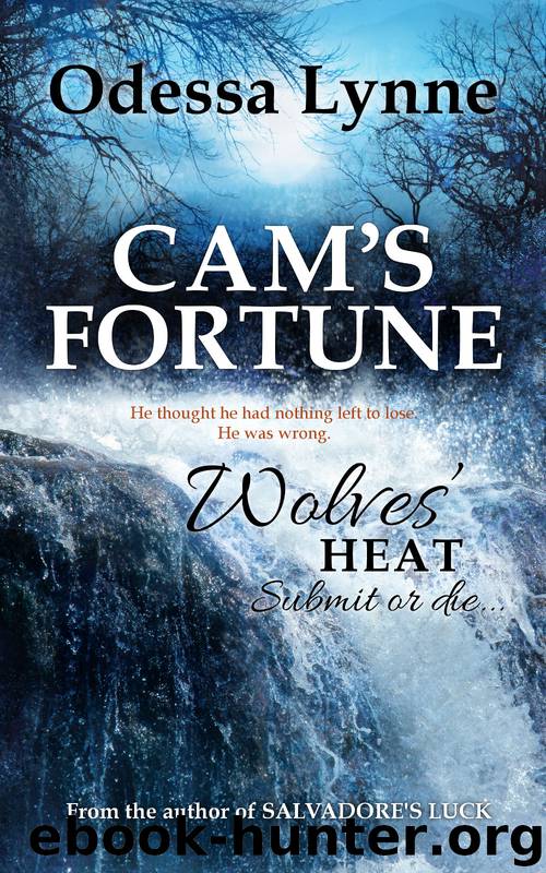 Cam's Fortune by Odessa Lynne