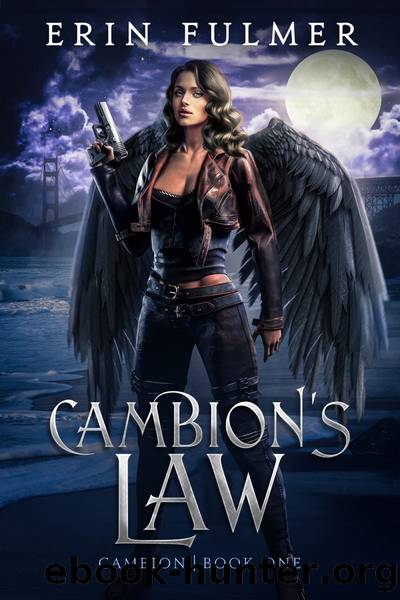 Cambion's Law by Erin Fulmer