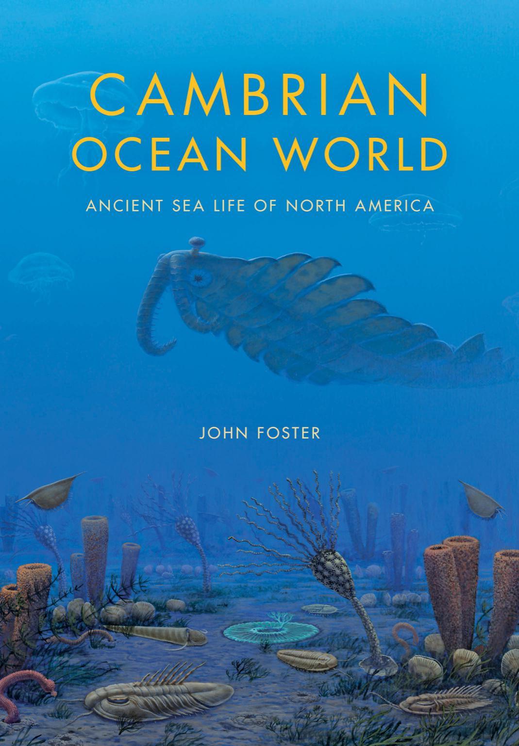 Cambrian Ocean World by Foster John