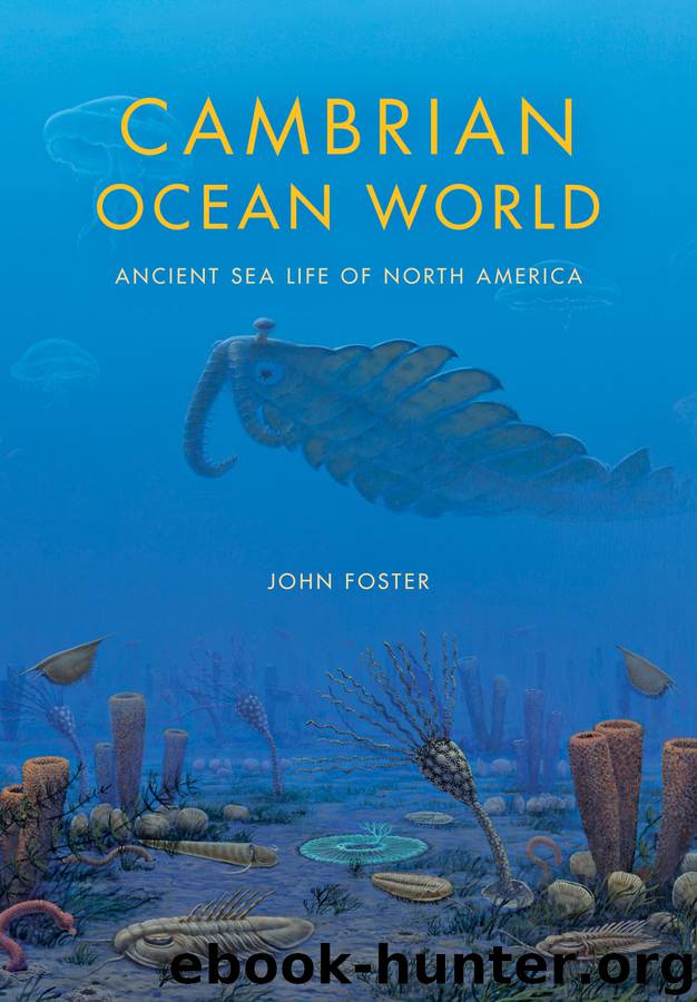 Cambrian Ocean World by John Foster