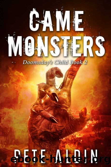 Came Monsters by Pete Aldin