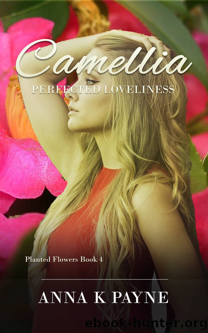 Camellia by Anna K Payne