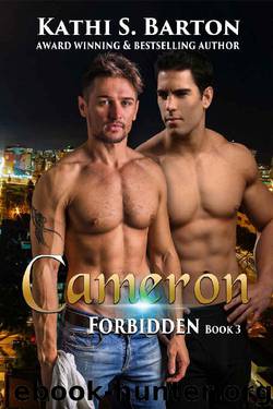 Cameron: Forbidden: MM LBGT Erotica Paranormal Romance by Kathi S. Barton