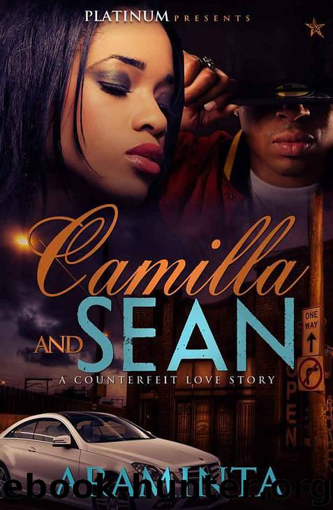 Camilla and Sean: A Counterfeit Love Story by Araminta & Natalie Sade