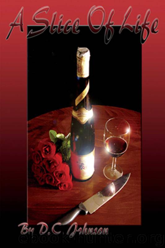 Camille 2: A Slice of Life by D. C. Johnson