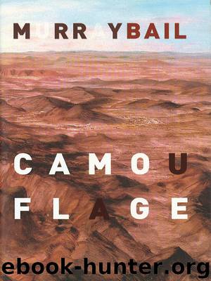 Camouflage by Murray Bail