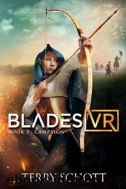 Campaign (Blades VR Book 2) by Terry Schott