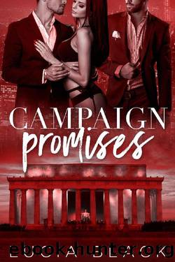 Campaign Promises (Their First Lady Book 2) by Lucia Black
