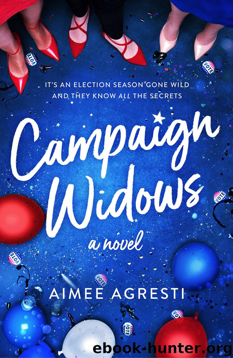 Campaign Widows by Aimee Agresti