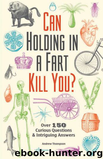 Can Holding in a Fart Kill You? by Andrew Thompson