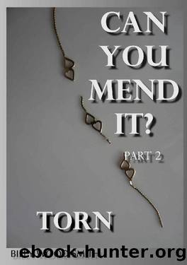Can You Mend It? Part 2: Torn (Can You Mend It? CYMI) by Billy Wood-Smith