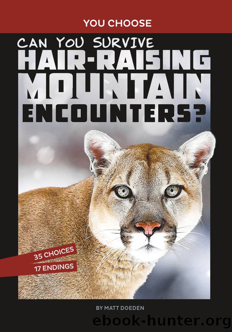 Can You Survive Hair-Raising Mountain Encounters? by Matt Doeden