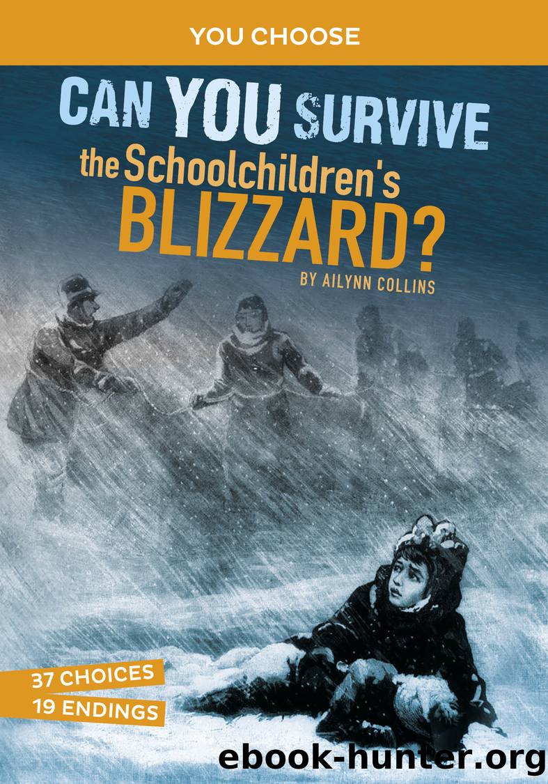 Can You Survive the Schoolchildren's Blizzard? by Ailynn Collins