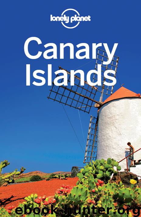 Canary Islands Travel Guide by Lonely Planet