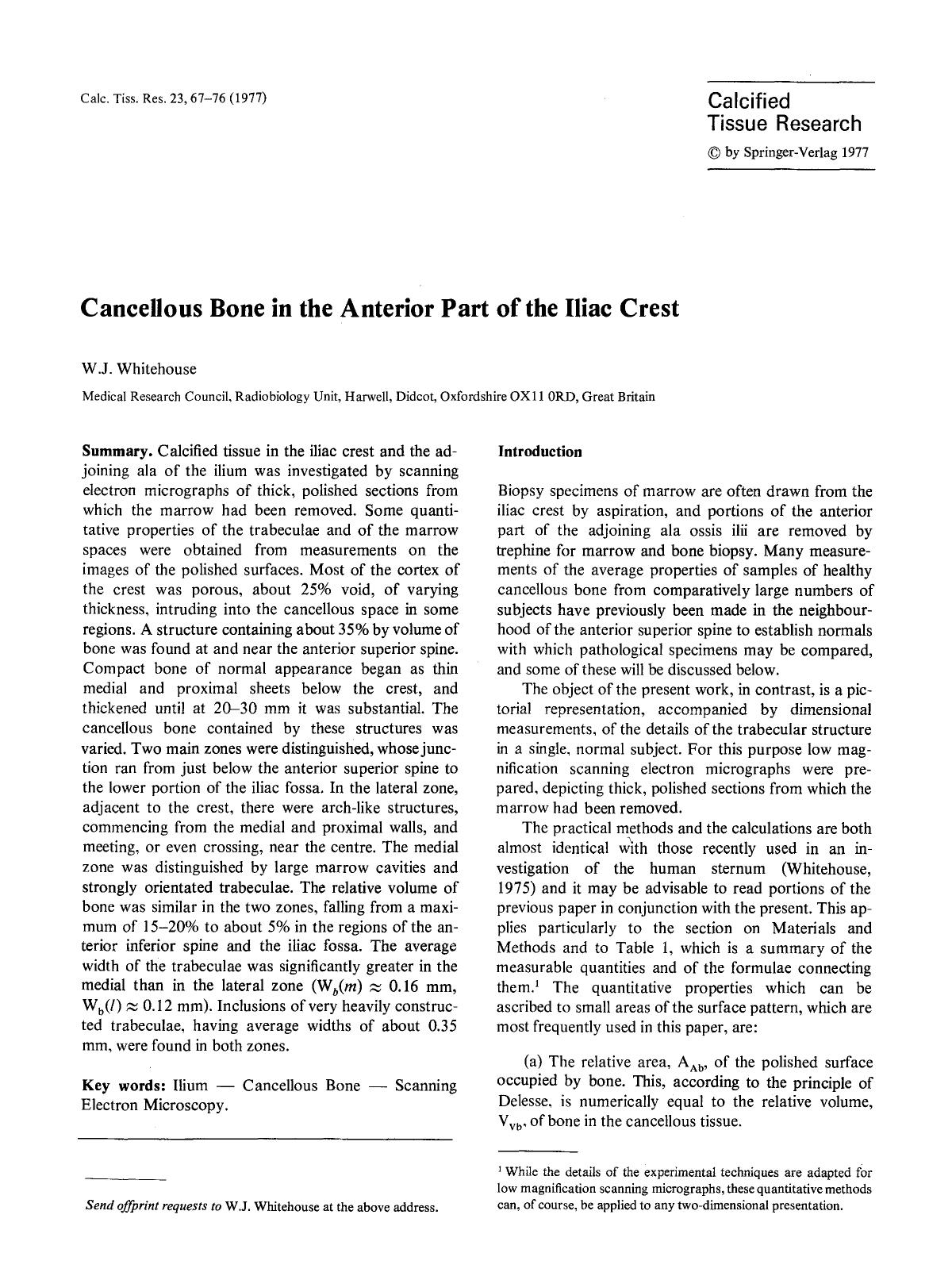 Cancellous bone in the anterior part of the iliac crest by Unknown