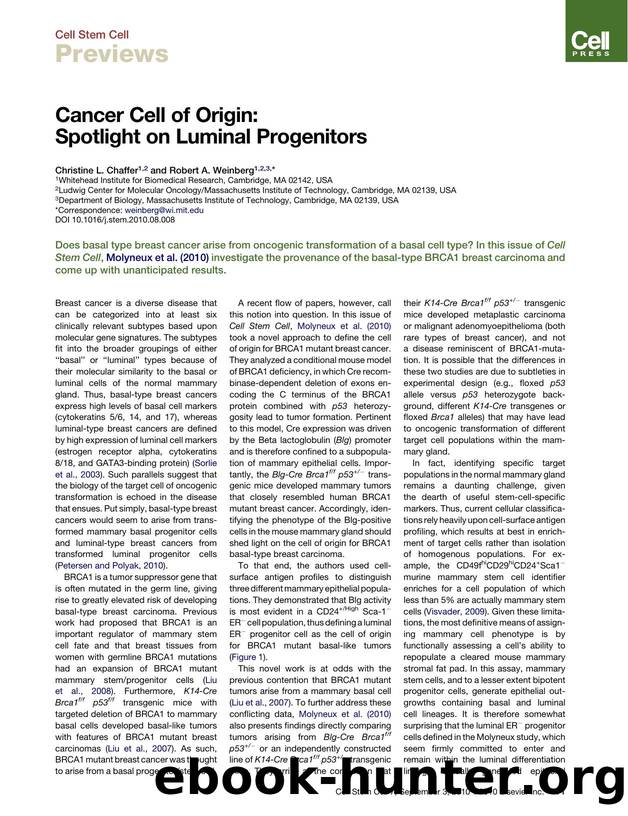 Cancer Cell of Origin: Spotlight on Luminal Progenitors by Christine L. Chaffer & Robert A. Weinberg