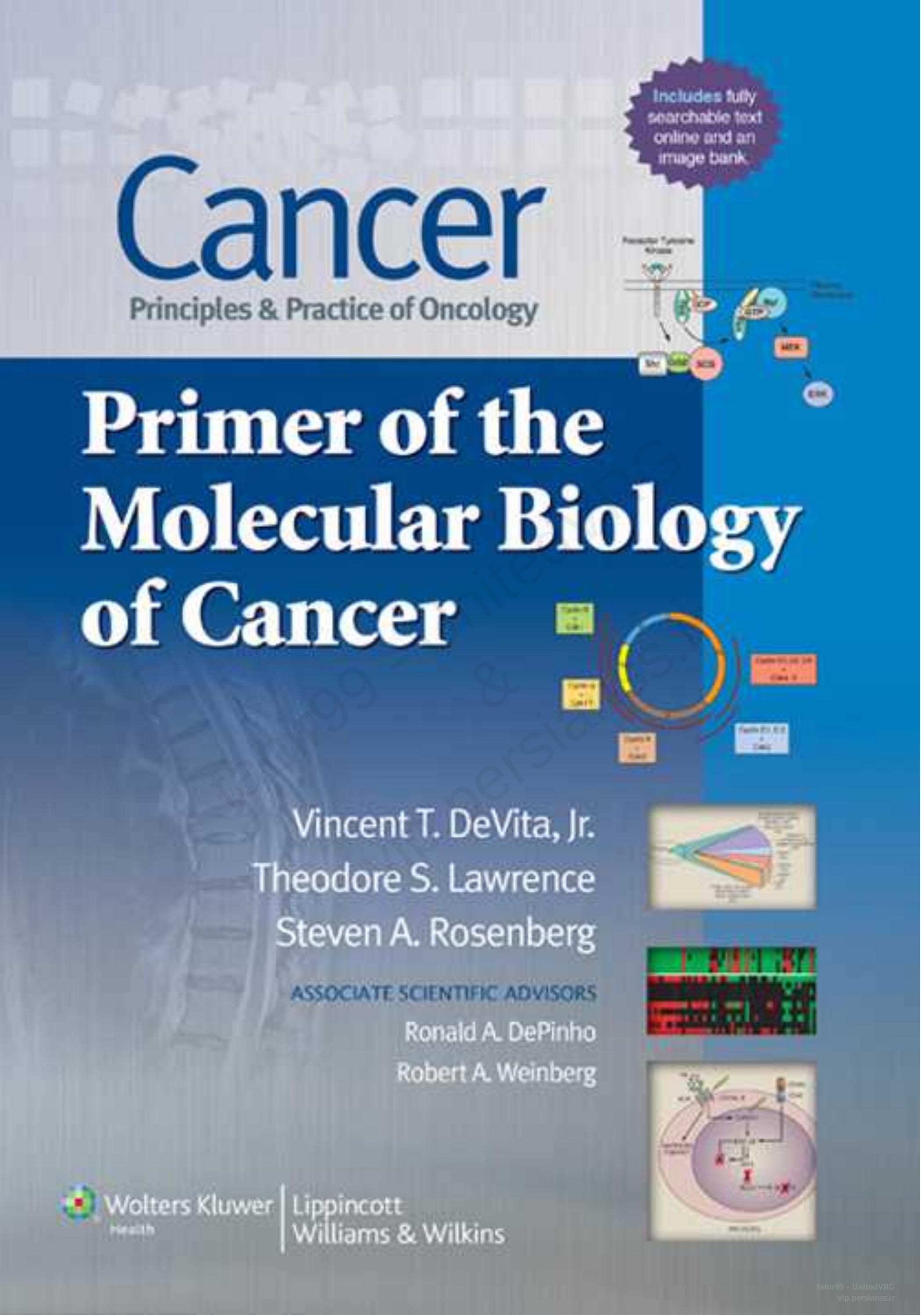 Cancer Principles & Practice of Oncology Primer of the Molecular Biology of Cancer (2011) [PDF] [UnitedVRG] by Unknown