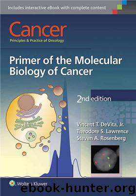 Cancer Principles and Practice of Oncology: Primer of the Molecular Biology of Cancer Second Edition by DeVita Vincent T. Jr. & Lawrence Theodore S. & Rosenberg Steven A