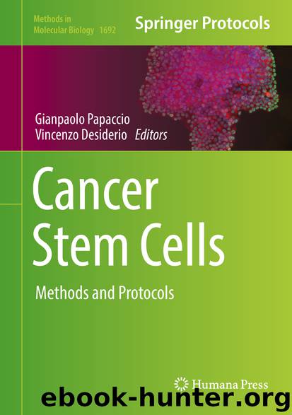 Cancer Stem Cells by Gianpaolo Papaccio & Vincenzo Desiderio