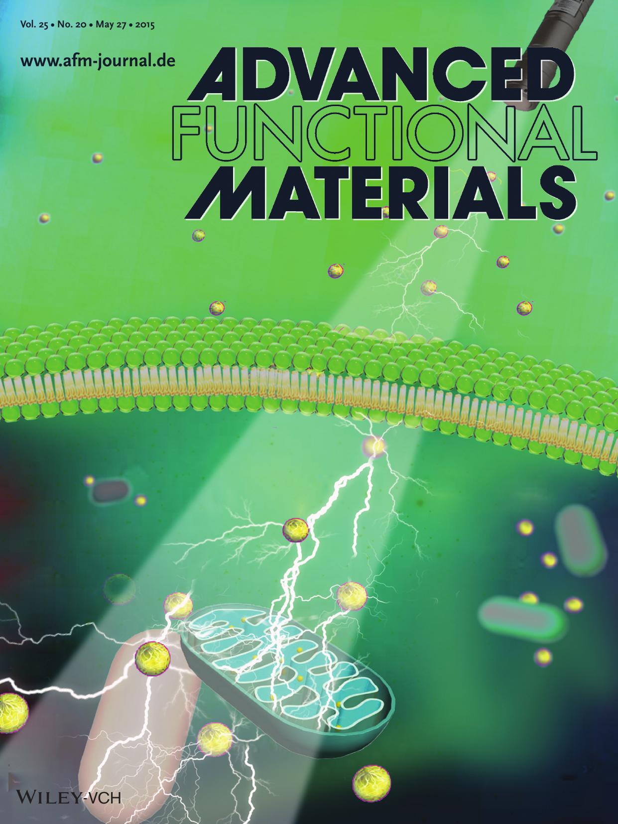 Cancer Treatment: Dual&#x02010;Stage&#x02010;Light&#x02010;Guided Tumor Inhibition by Mitochondria&#x02010;Targeted Photodynamic Therapy (Adv. Funct. Mater. 20&#x0002F;2015) by Unknown