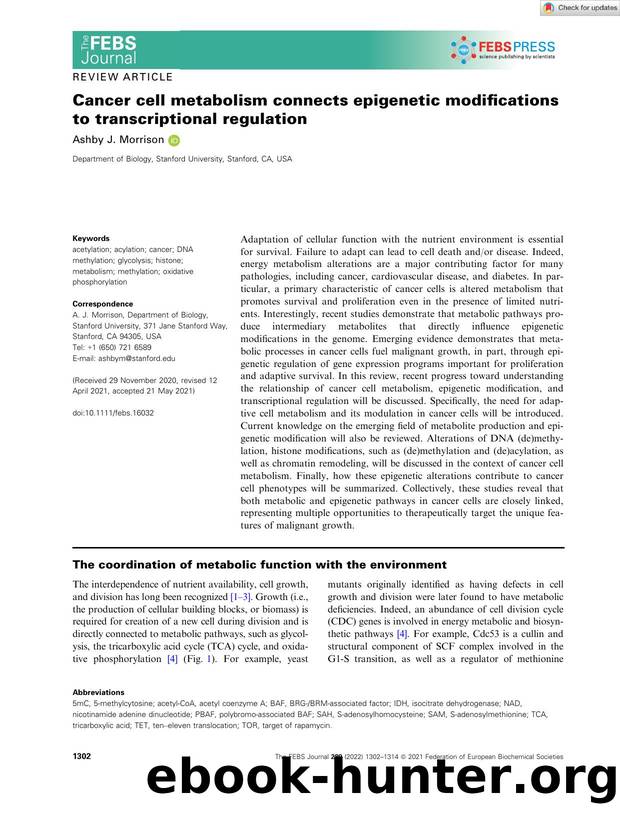 Cancer cell metabolism connects epigenetic modifications to transcriptional regulation by Unknown