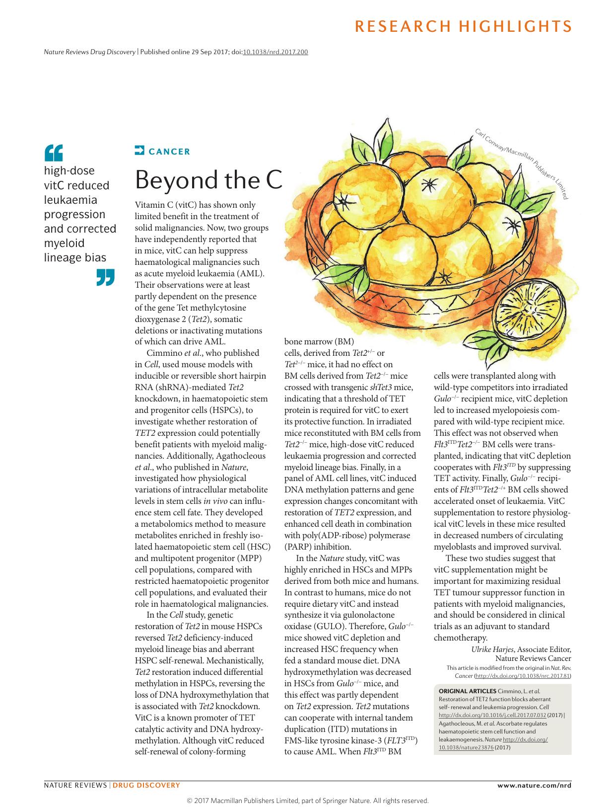 Cancer: Beyond the C by Ulrike Harjes
