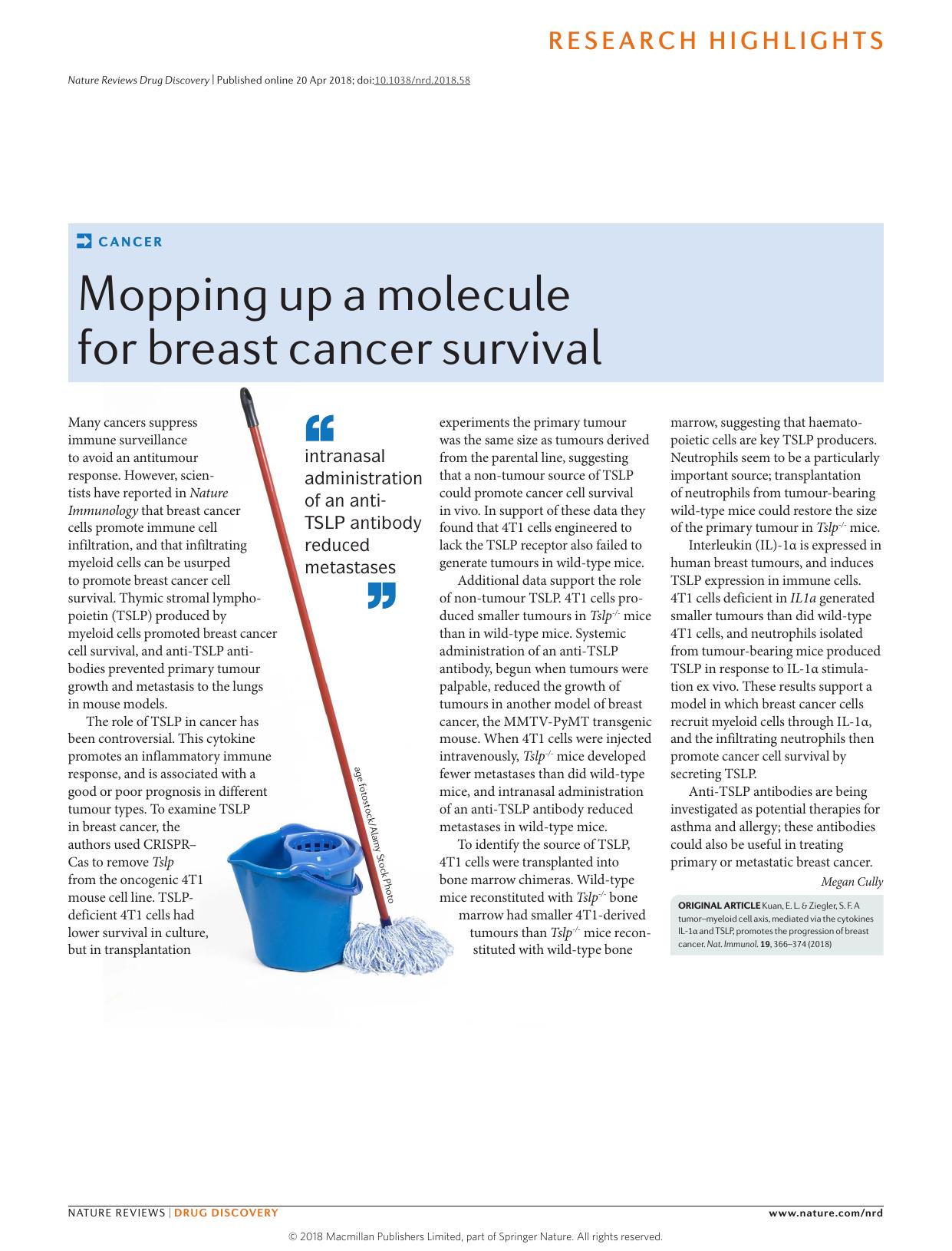 Cancer: Mopping up a molecule for breast cancer survival by Megan Cully
