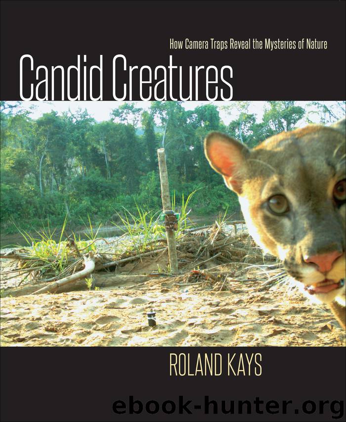Candid Creatures by Roland Kays