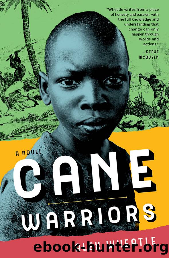 Cane Warriors by Alex Wheatle