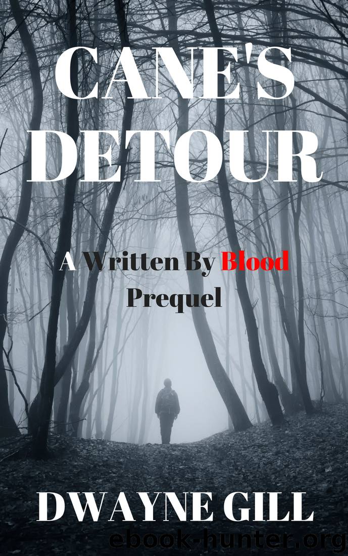 Cane's Detour by Dwayne Gill