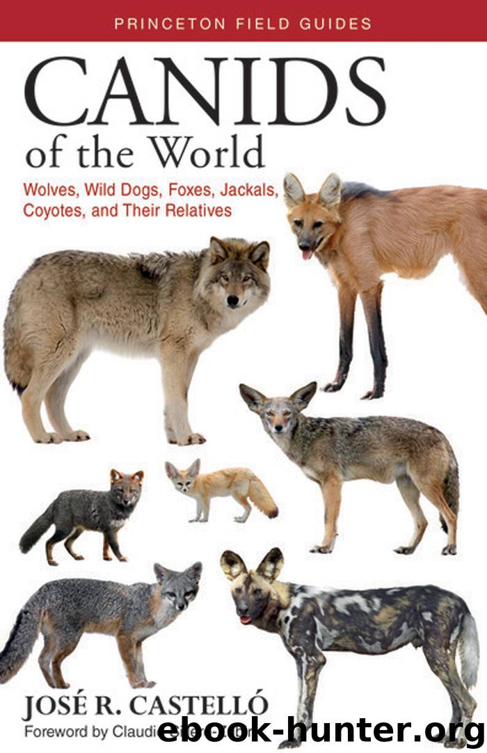 Canids of the World by Castelló José R.; Sillero-Zubiri Claudio;