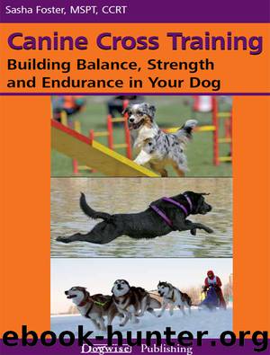 Canine Cross Training: Building Balance, Strength and Endurance in Your Dog by Sasha Foster