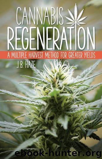 Cannabis Regeneration by J.B. Haze