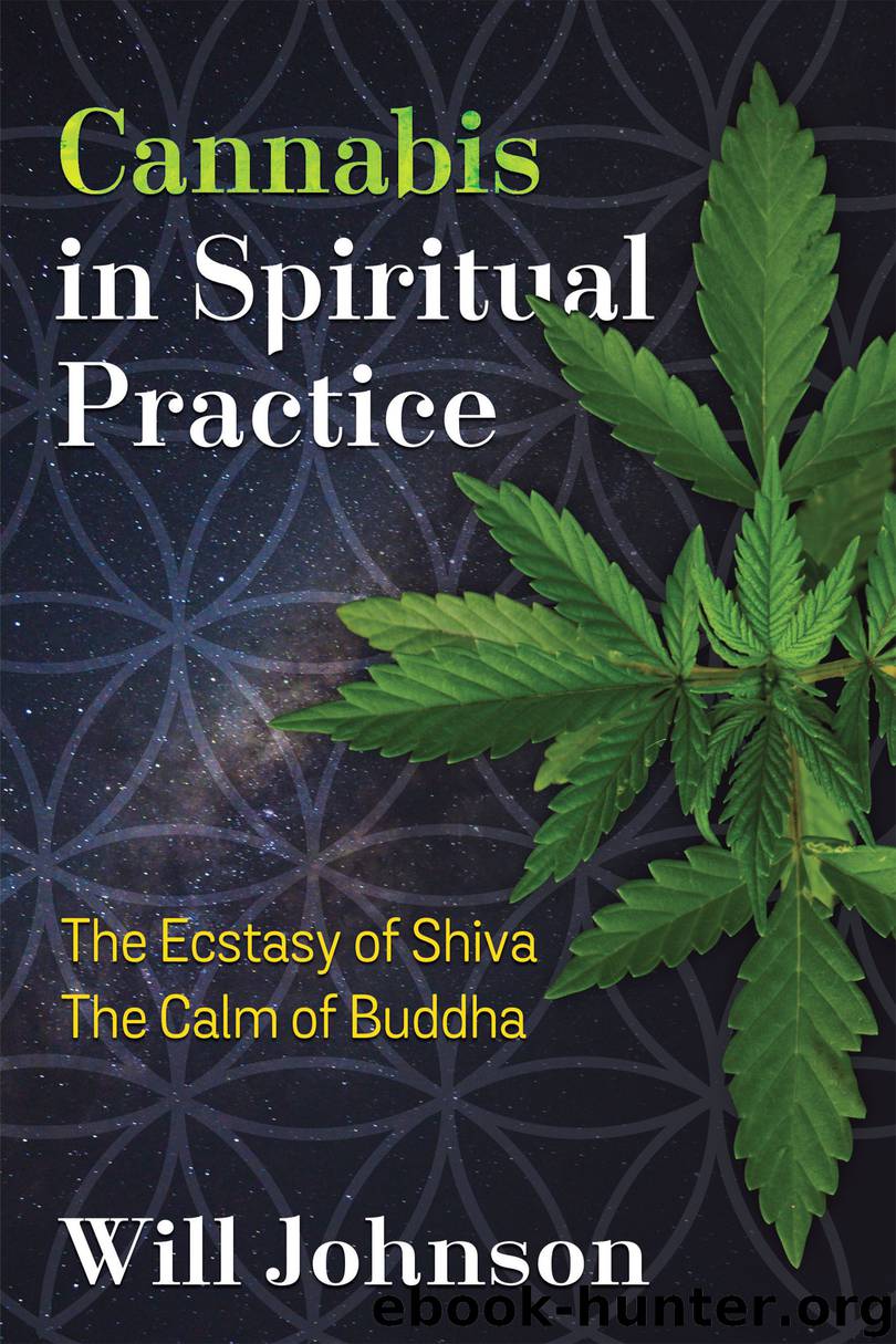 Cannabis in Spiritual Practice by Will Johnson