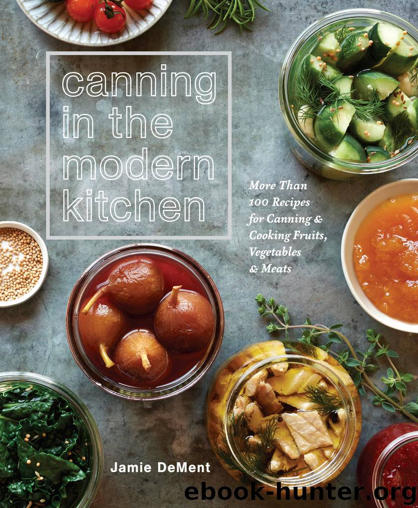 Canning in the Modern Kitchen by Jamie DeMent