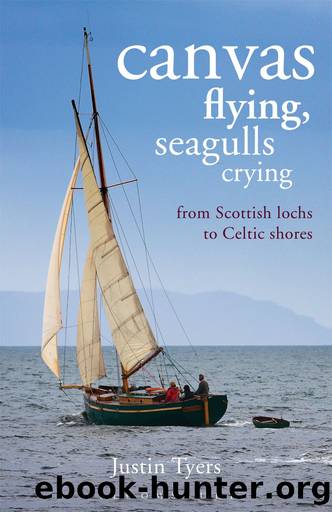 Canvas Flying, Seagulls Crying by Justin Tyers